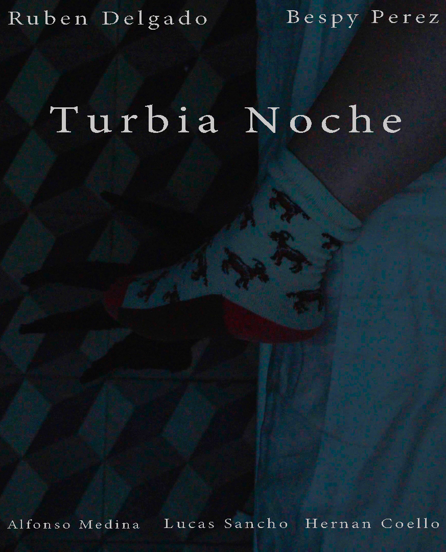 Póster del corto Turbia noche