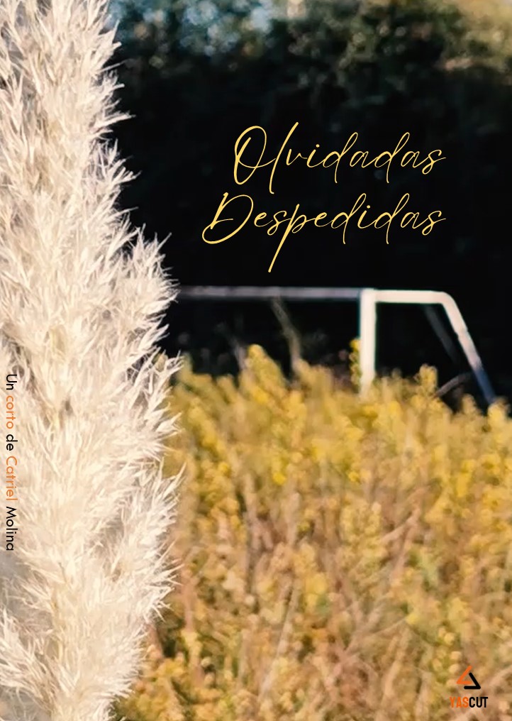 Póster del corto Olvidadas Despedidas