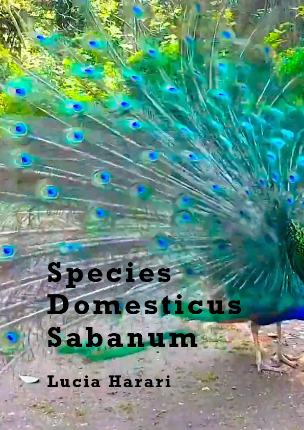 Póster del corto Species Domesticus Sabanum