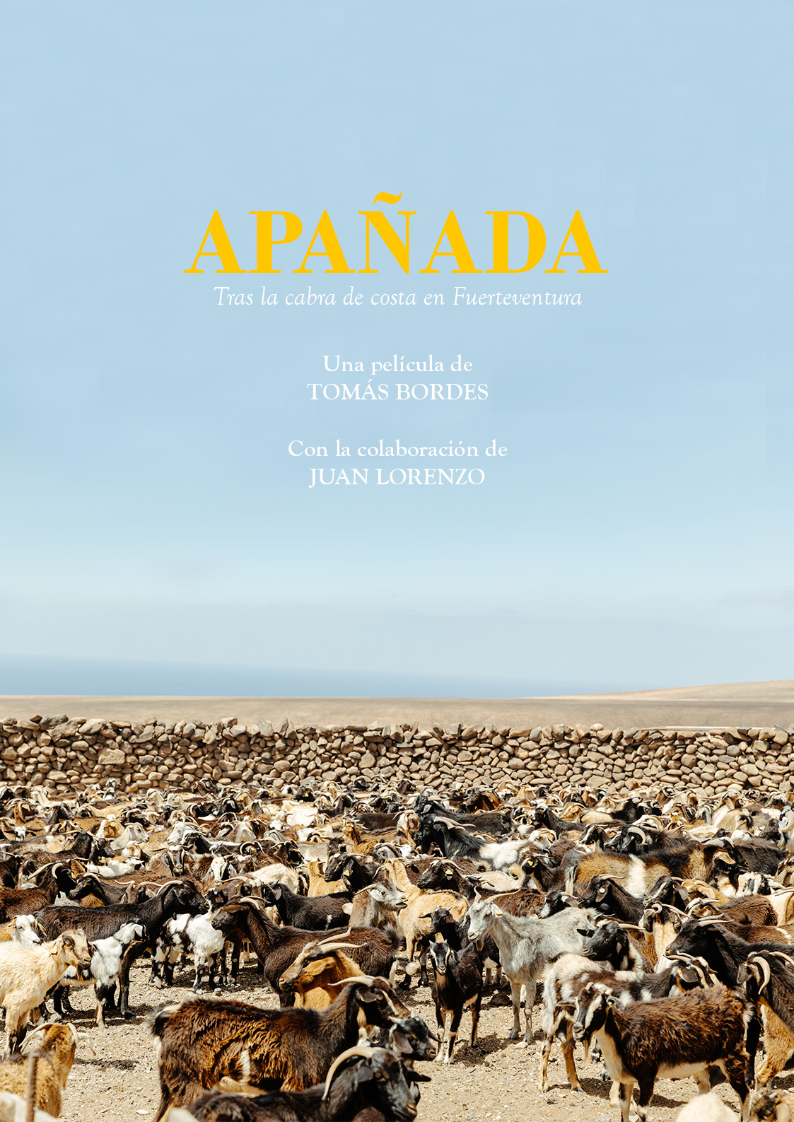 Póster del corto Apañada. Tras la cabra de costa en Fuerteventura