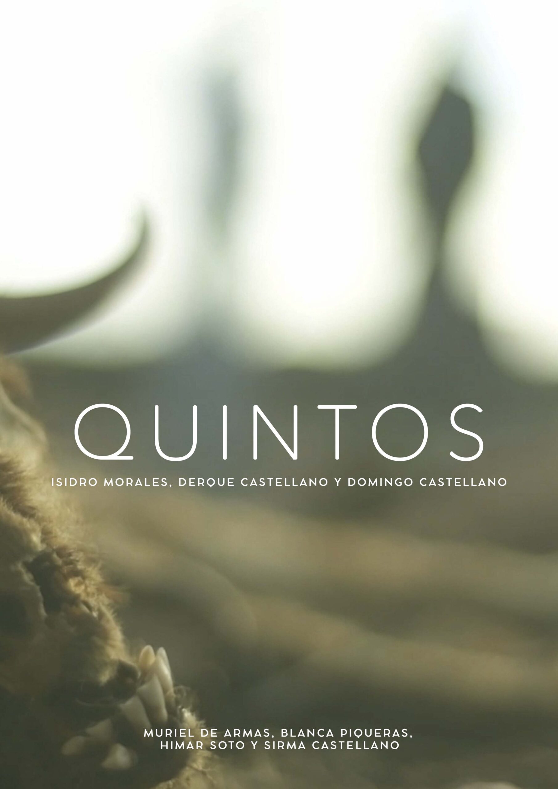 Póster del corto QUINTOS